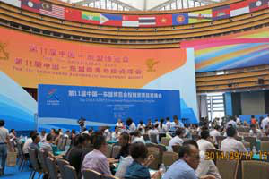 第11届中国-东盟博览会投融资项目对接会